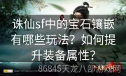 诛仙sf中的宝石镶嵌有哪些玩法？如何提升装备属性？