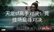 天龙sf高手对决：竞技场巅峰对决