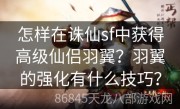 怎样在诛仙sf中获得高级仙侣羽翼？羽翼的强化有什么技巧？