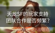 天龙SF的玩家支持团队合作是否频繁？