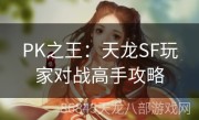 PK之王：天龙SF玩家对战高手攻略