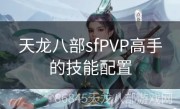 天龙八部sfPVP高手的技能配置