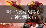 诛仙私发网大揭秘：元神觉醒技巧