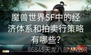 魔兽世界SF中的经济体系和拍卖行策略有哪些？