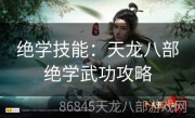 绝学技能：天龙八部绝学武功攻略