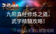 九阳真经修炼之道，武学精髓攻略！