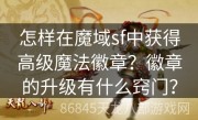 怎样在魔域sf中获得高级魔法徽章？徽章的升级有什么窍门？