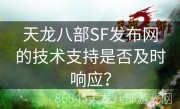 天龙八部SF发布网的技术支持是否及时响应？