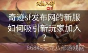 奇迹sf发布网的新服如何吸引新玩家加入？