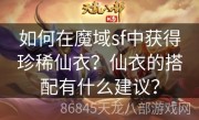 如何在魔域sf中获得珍稀仙衣？仙衣的搭配有什么建议？